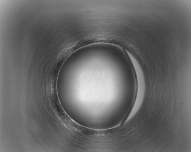 X0000080740740200612221318