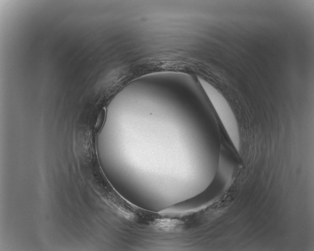 X0000080740748200612221318