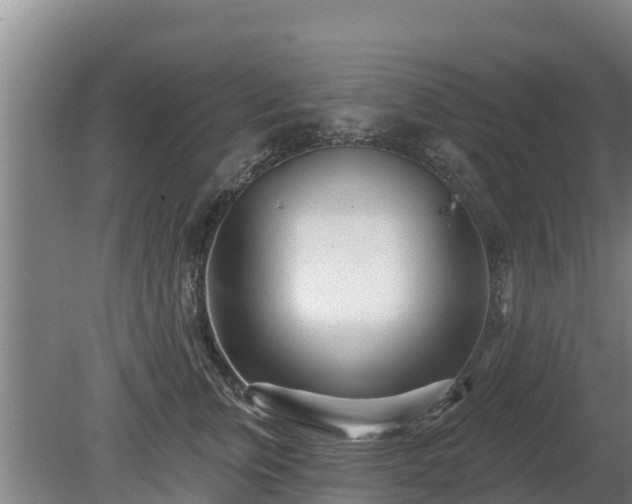 X0000080740759200612221318