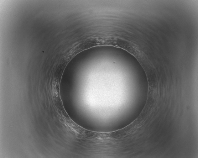 X0000080740770200612221318