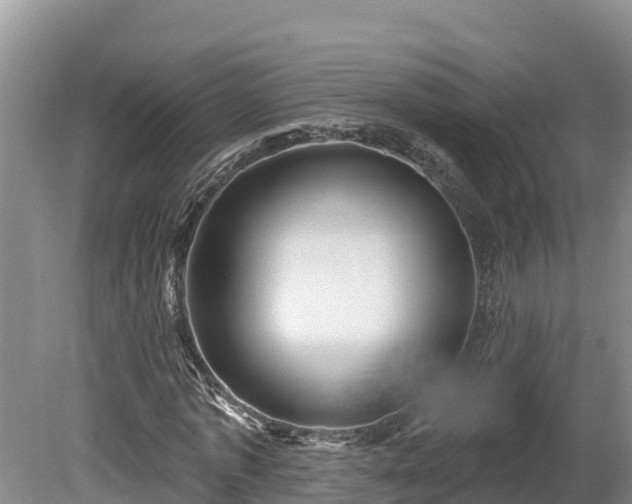 X0000080740773200612221318