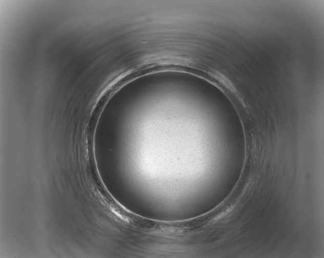 X0000080740782200612221318