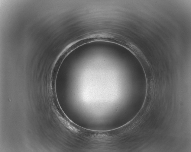 X0000080740784200612221318