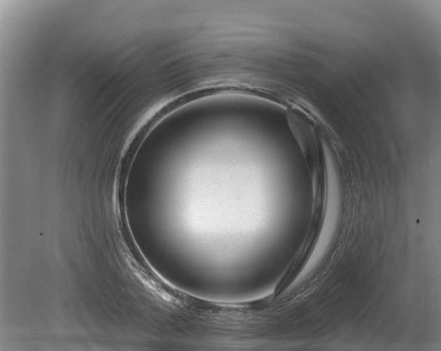 X0000080740788200612221317