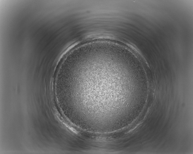 X0000080740790200612221317