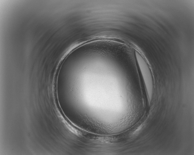 X0000080740803200612221317