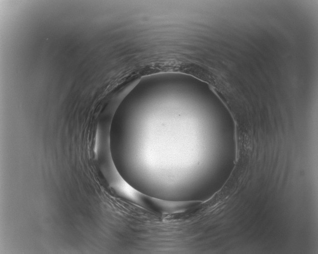 X0000080740818200612221316