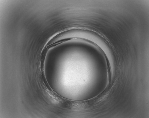 X0000080740830200612221316