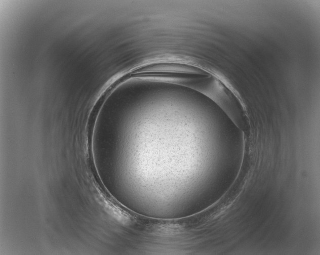 X0000080740837200612221317