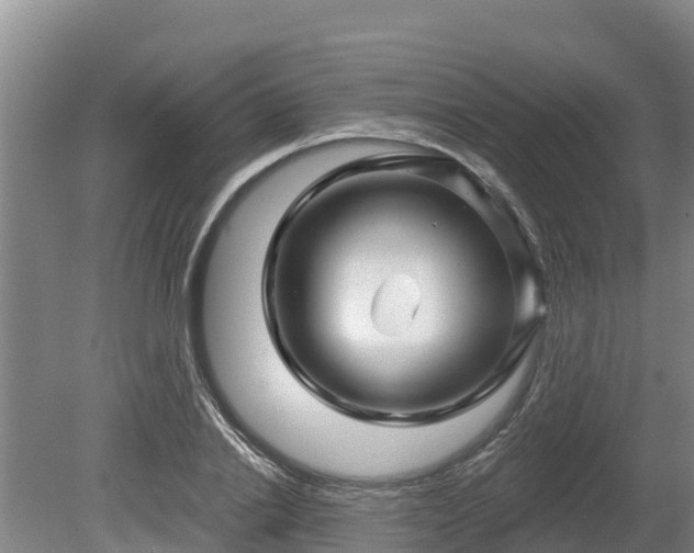 X0000080740838200612221317
