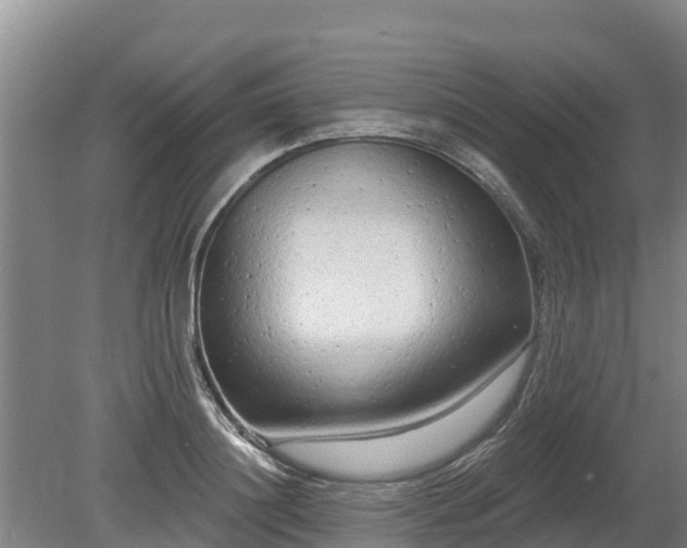 X0000080740844200612221317