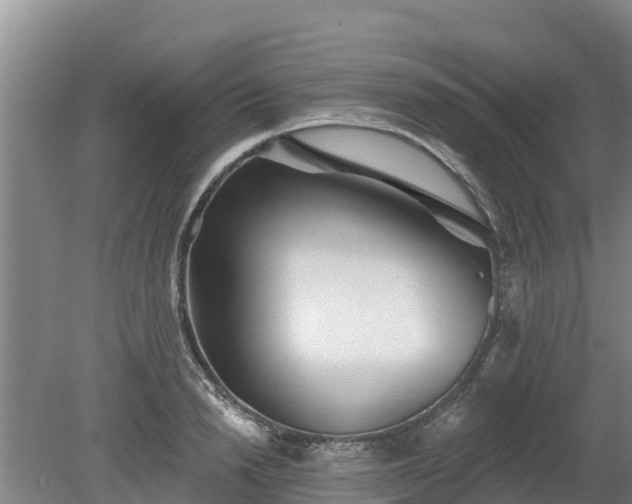 X0000080740846200612221317