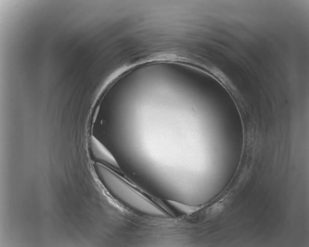 X0000080740854200612221317