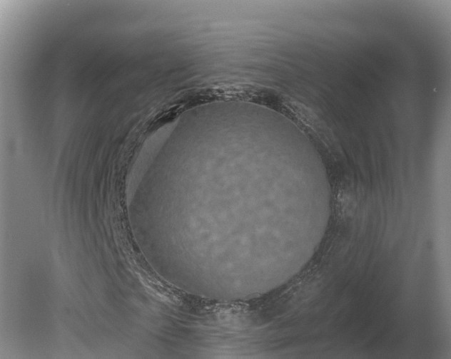 X0000080740865200612221316