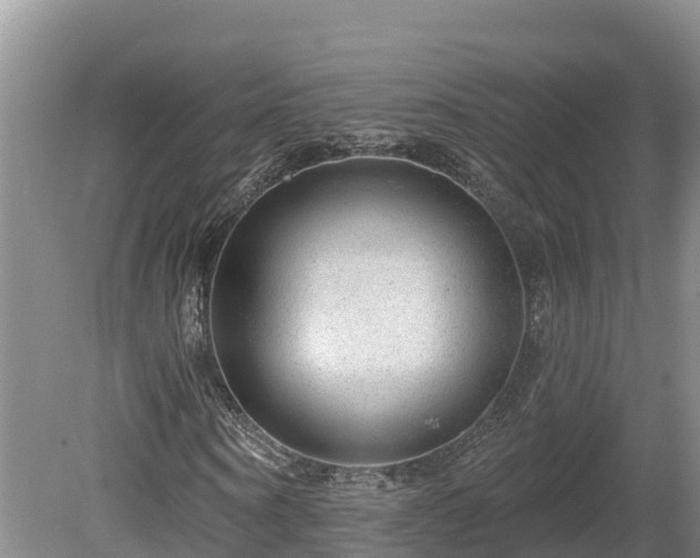 X0000080740866200612221316