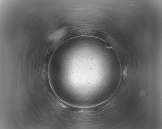 X0000080740867200612221316