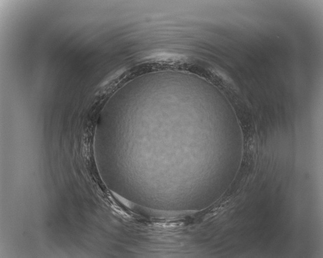 X0000080740869200612221316