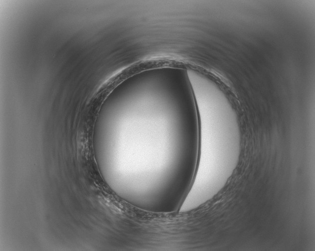 X0000080740872200612221316