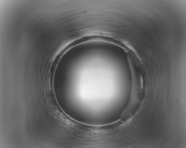 X0000080740877200612221316