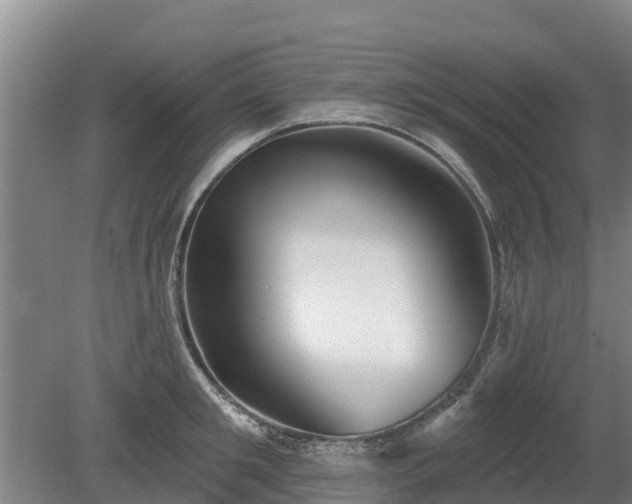 X0000080740901200612221316
