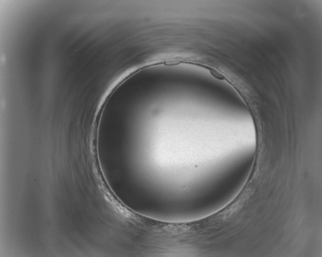 X0000080740912200612221315