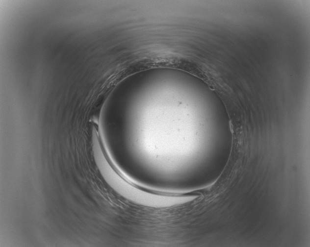 X0000080740916200612221315