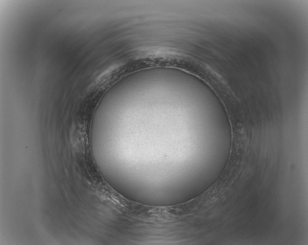 X0000080740918200612221315