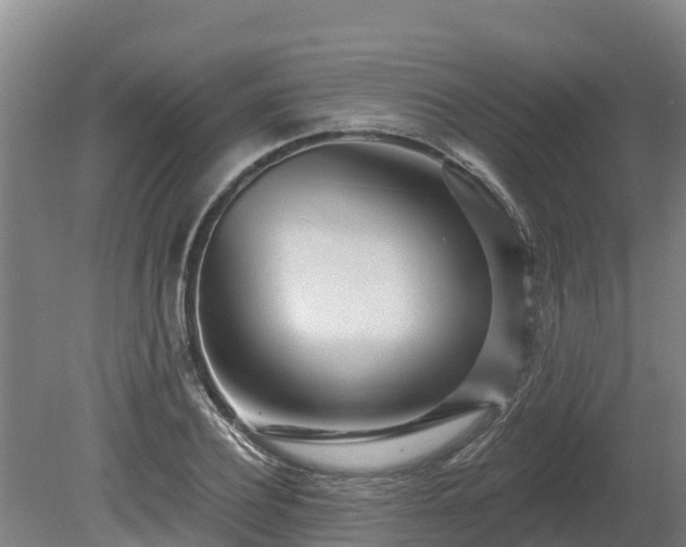 X0000080740932200612221315