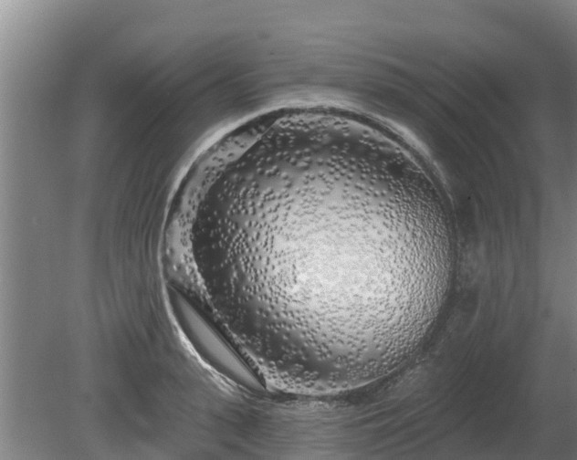 X0000080740943200612221315