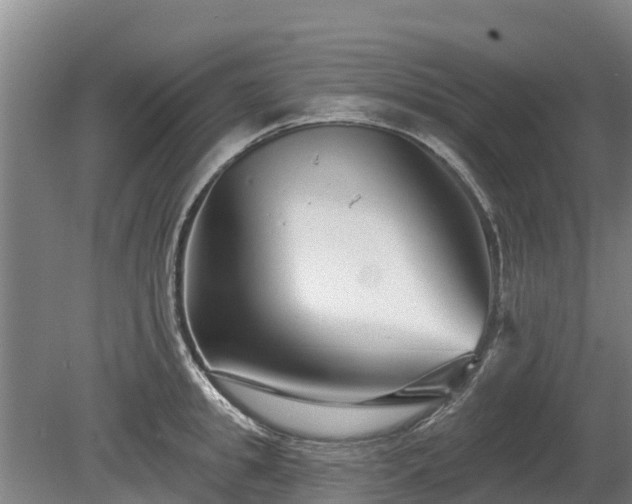 X0000080740949200612221315
