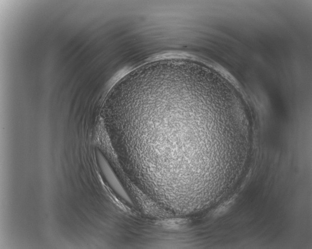 X0000080740953200612221315