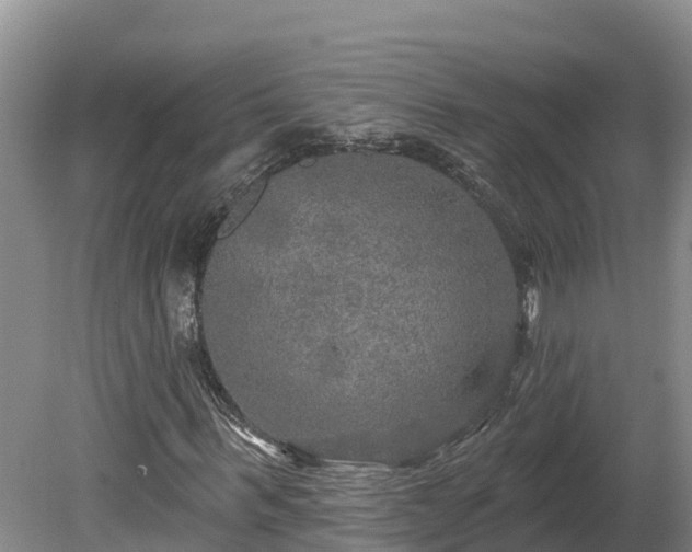 X0000080740963200612221315