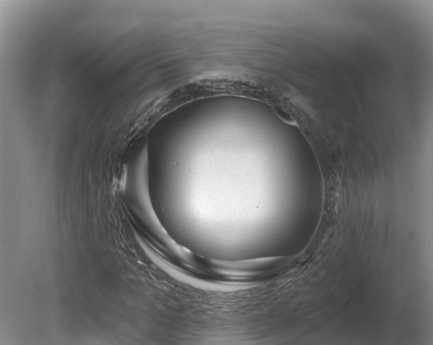 X0000080740965200612221314