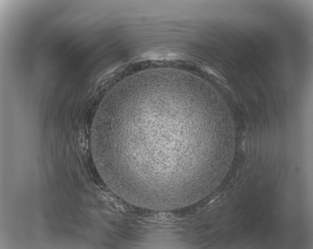 X0000080740966200612221314