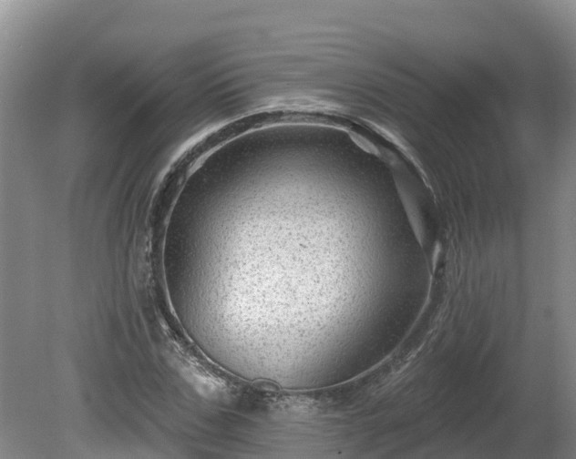 X0000080740971200612221314