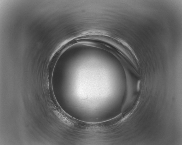 X0000080740973200612221314