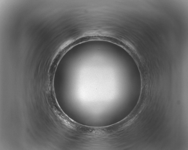 X0000080740974200612221314