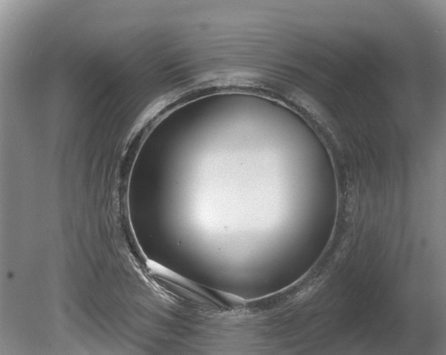 X0000080740978200612221314