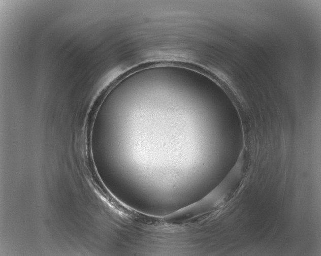 X0000080740982200612221314