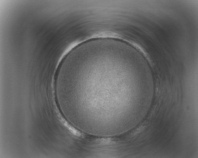 X0000080740990200612221314