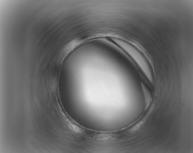 X0000080740993200612221314