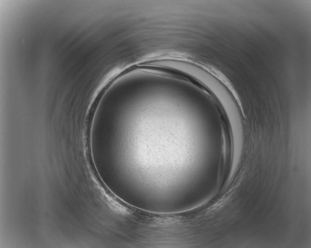 X0000080740997200612221314