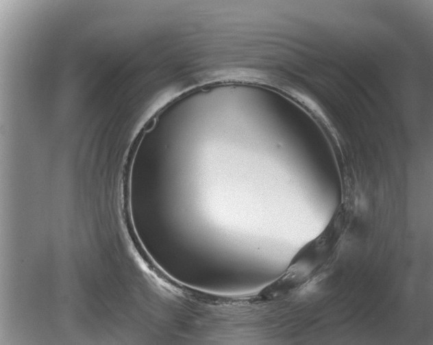 X0000080740999200612221314
