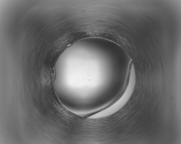 X0000080741012200612221313