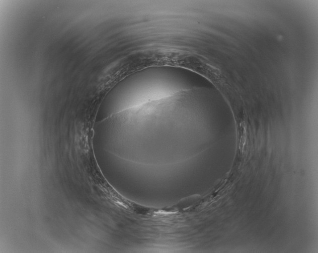 X0000080741013200612221313