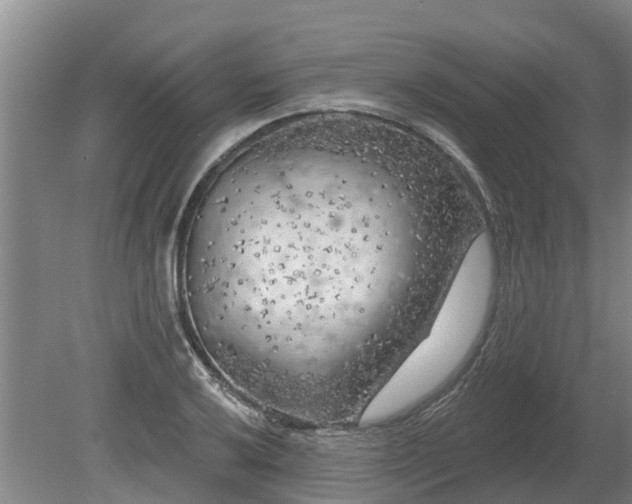 X0000080741032200612221313