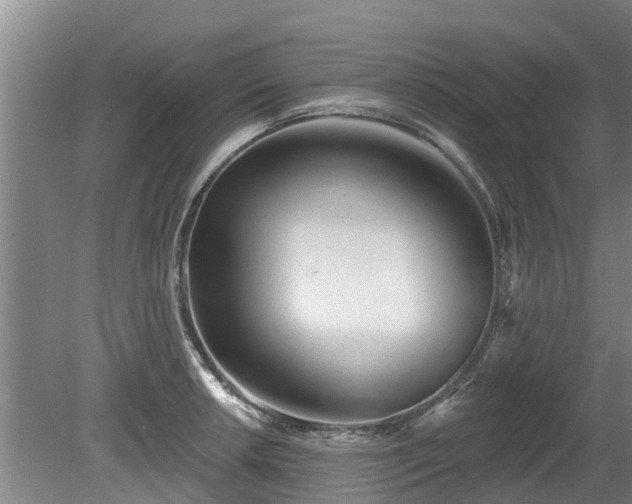 X0000080741042200612221314