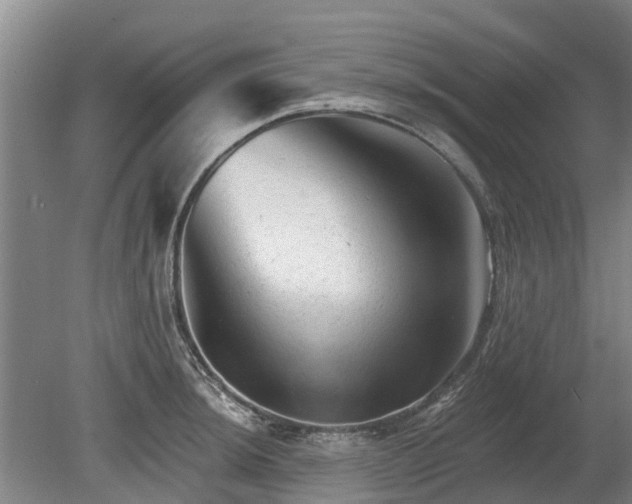 X0000080741044200612221314