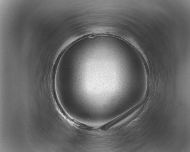 X0000080741045200612221314