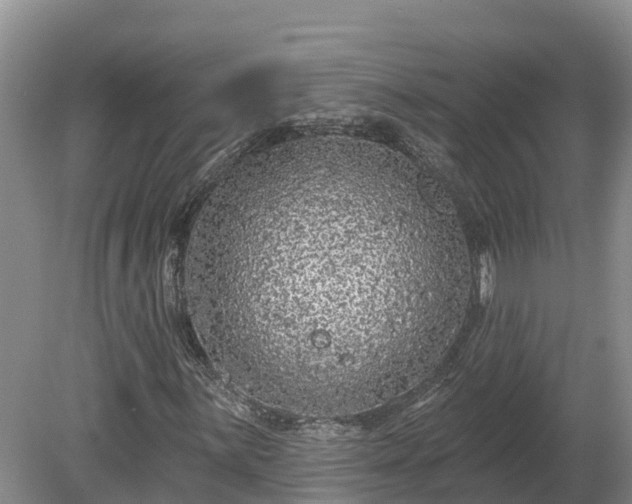 X0000080741059200612221313